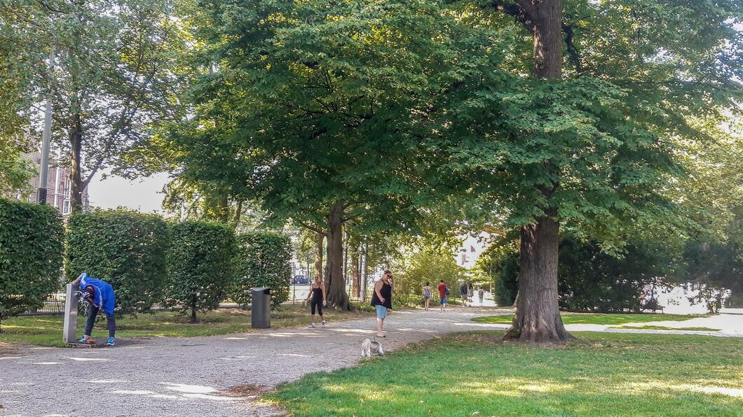 Wertheimpark in de zomer