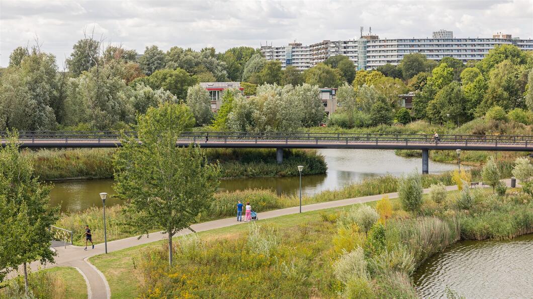 Foto van het Nelson Mandelapark