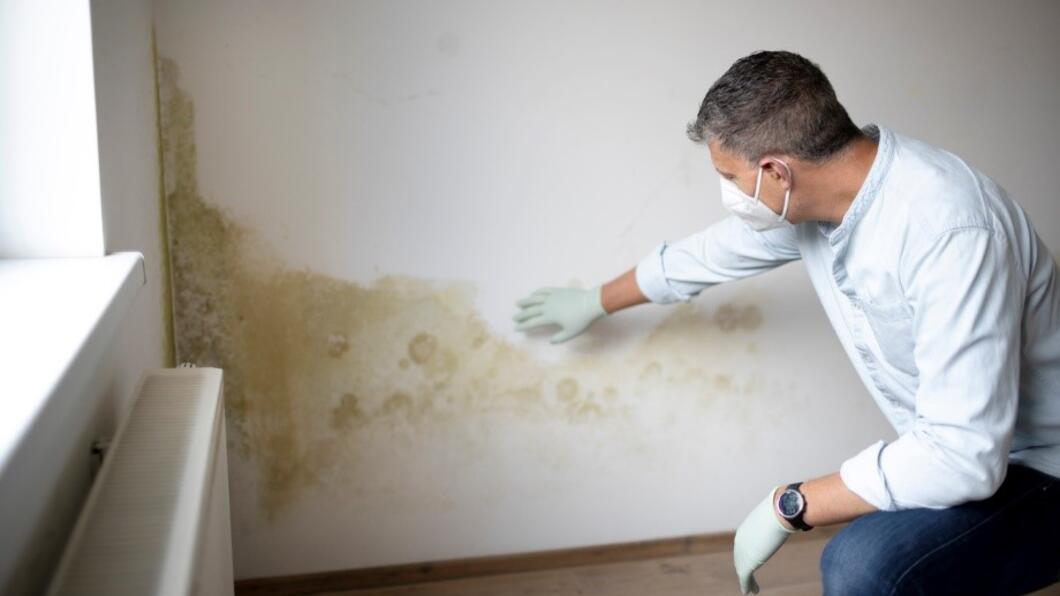 Een man met mondkapje en handschoenen wijst naar vochtplekken op de muur