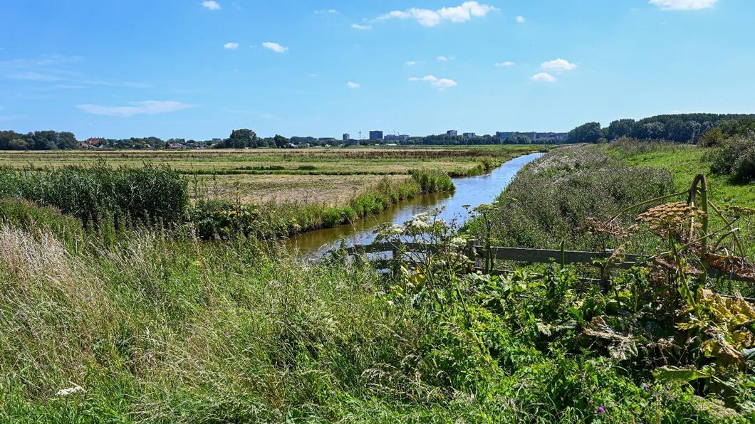 lutkemeerpolder