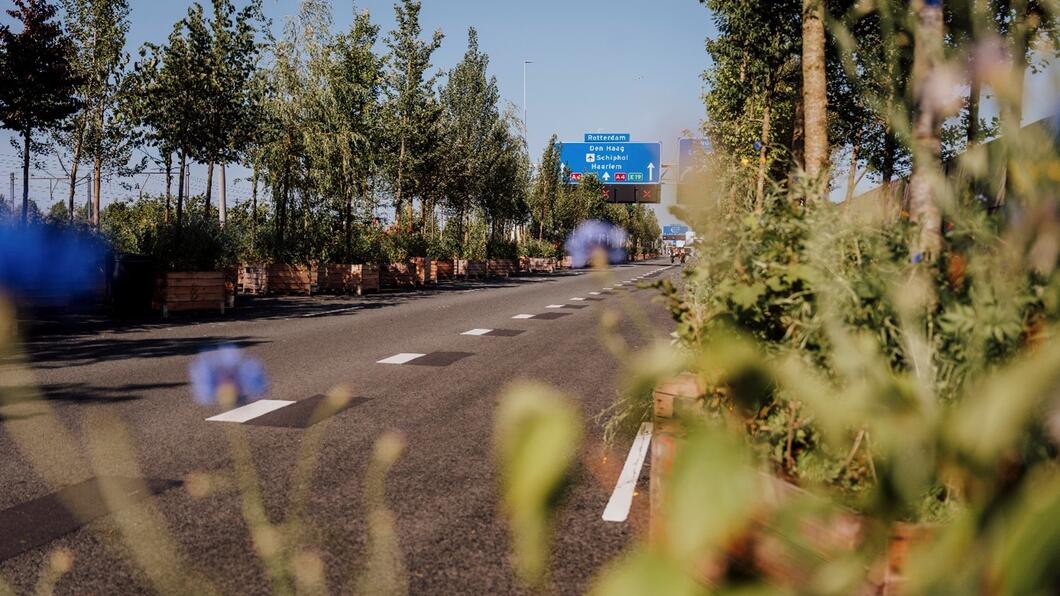 planten en bomen op de ring tijdens het feest op de ring