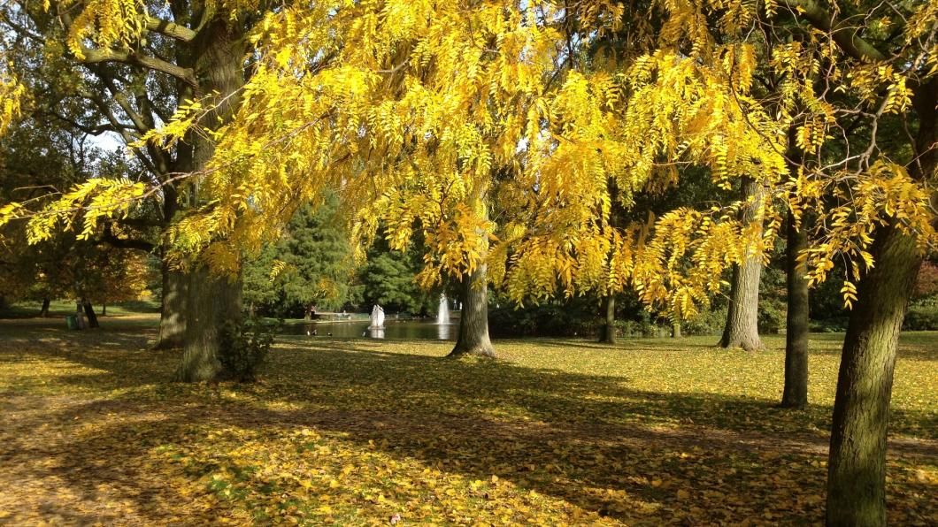 Westerpark