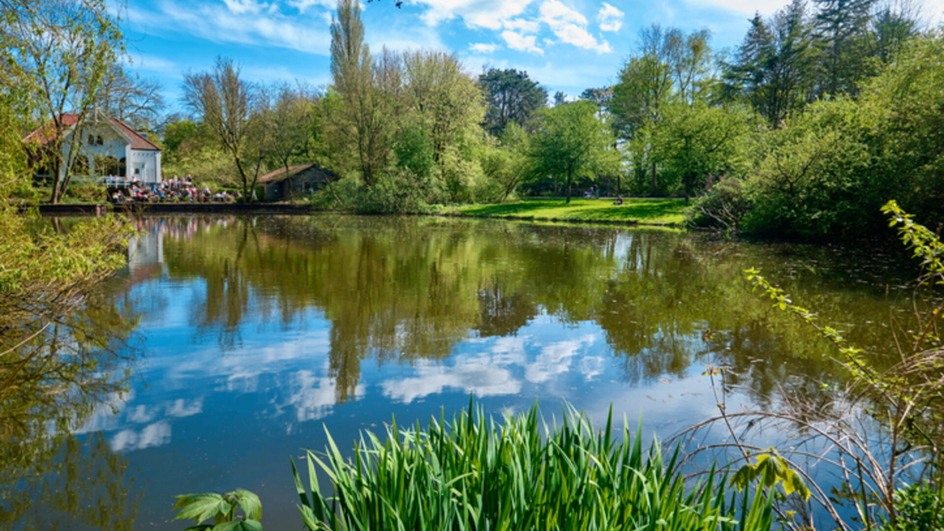 een vijver in het Flevopark