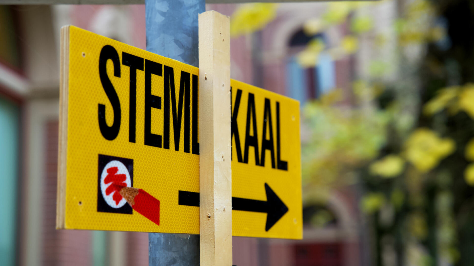 stem