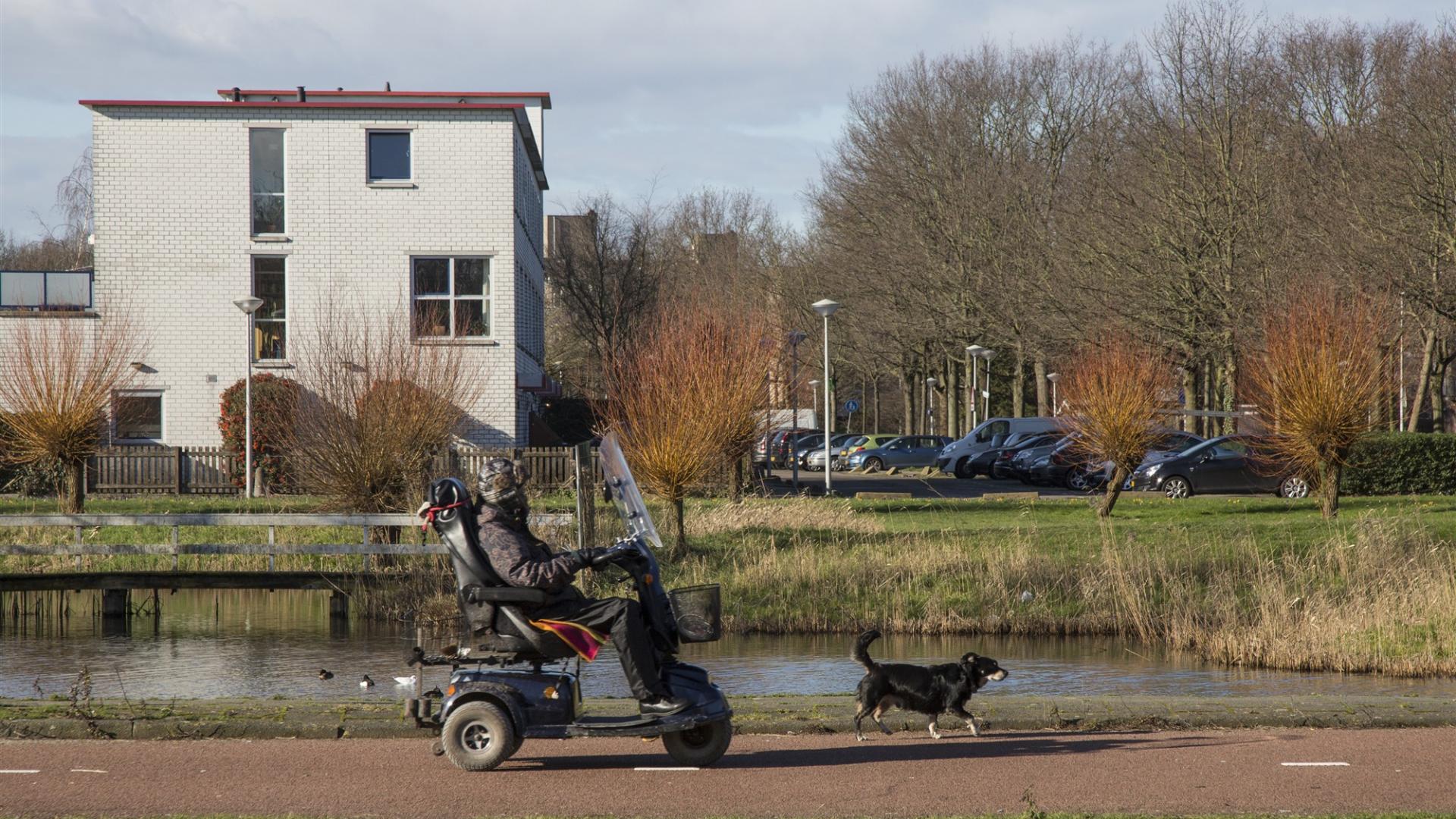 19398-Reigersbos-04_16feb2016_E_v_Eis(1).jpg