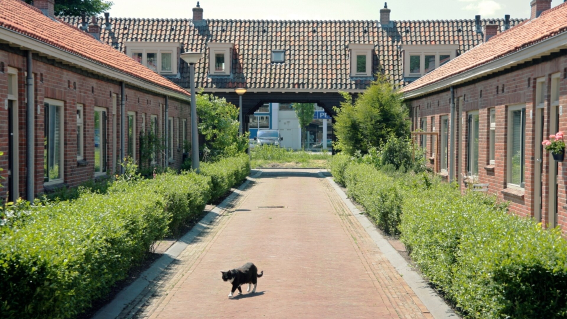 5976-1evogelstraat_001_20mei2008_e_v_eis.jpg
