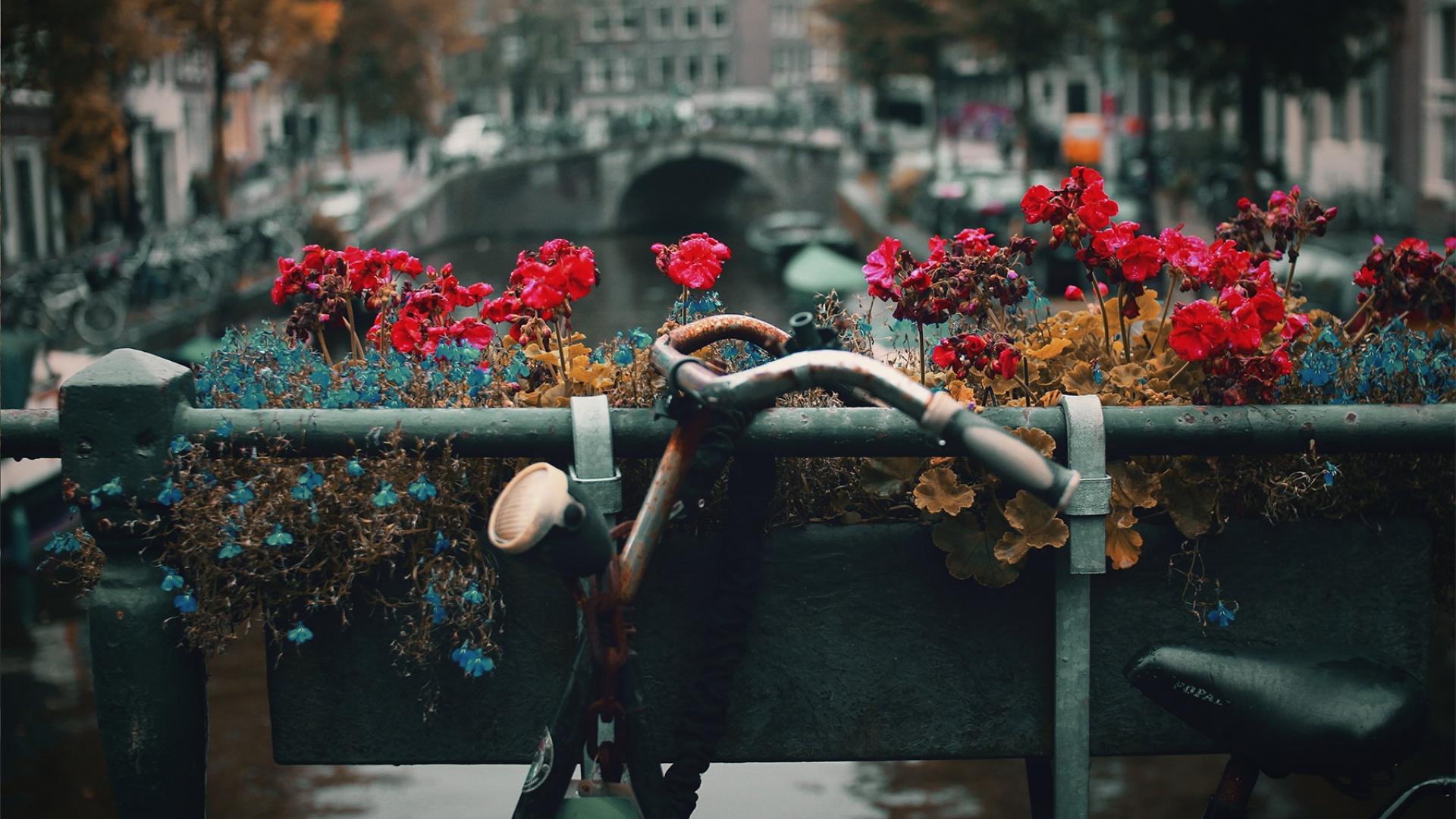 Foto door Nick Scheerbart, via Unsplash