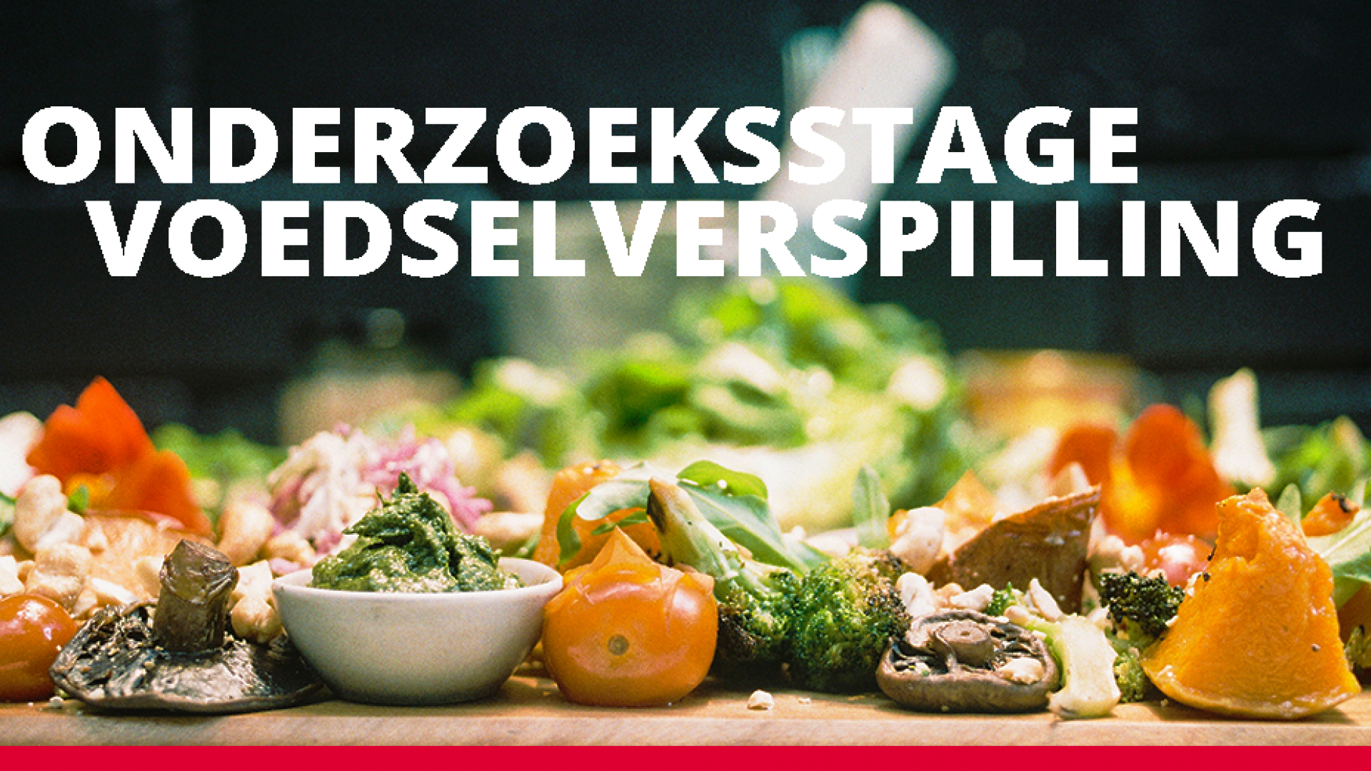 Onderzoeksstage Voedsel